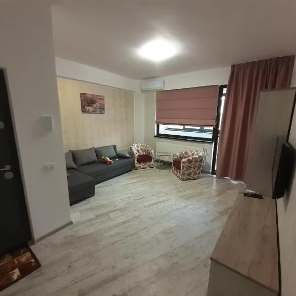 Apartament Matei，位于Sarichioi的酒店