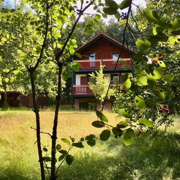 Ferienhaus Rhöner Wohnen，位于Hilders的酒店