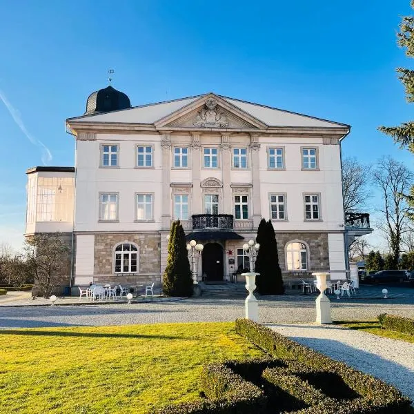 Pałac Brunów - Wellness & SPA，位于希隆斯克地区勒武韦克的酒店