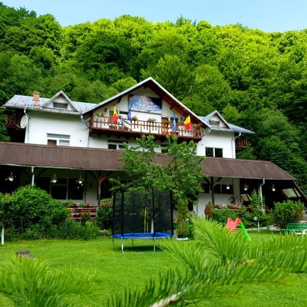 Pensiunea Valea Negrasului，位于Trăisteni的酒店