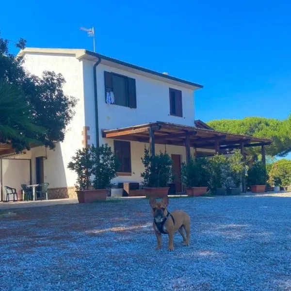 Il Tombolo，位于Giannella的酒店