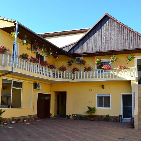 亚历山大旅馆，位于Mîndruloc的酒店