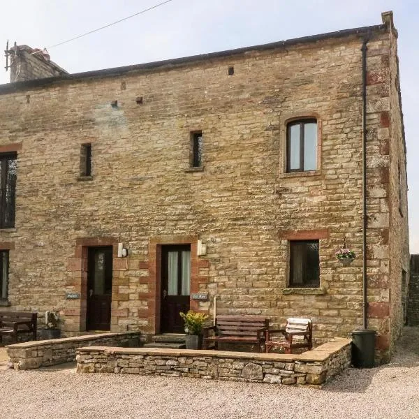 Old Byre Cottage，位于雷文斯通代尔的酒店