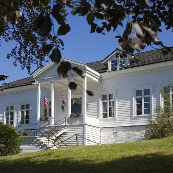 福特酒店，位于Eidslandet的酒店