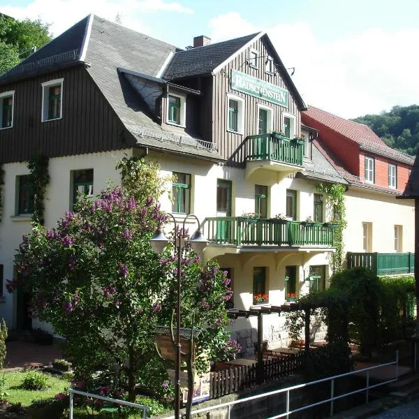 Pension Rauschenstein，位于Saupsdorf的酒店