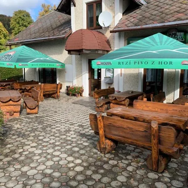 Hospůdka U rybníčku，位于Karlovice的酒店