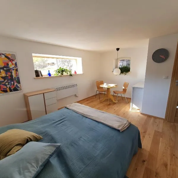 Studio Dudek，位于Wójtowice的酒店