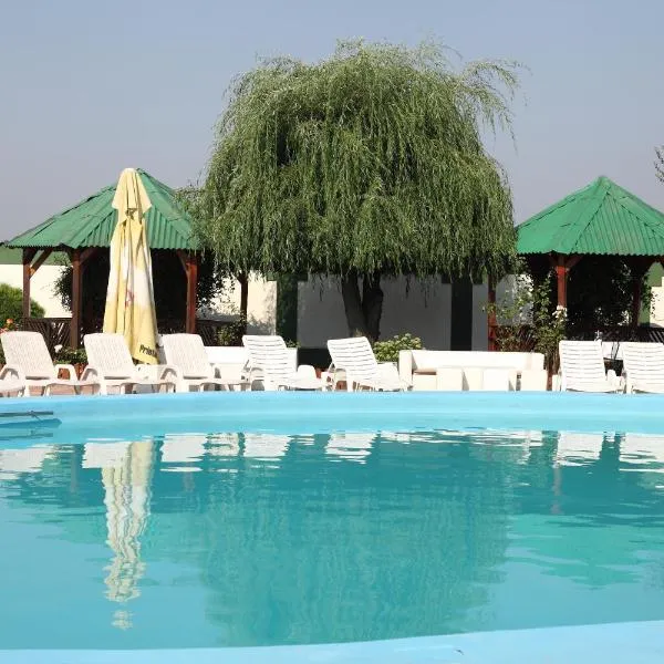 Hotel Rodiv，位于Corbii Mari的酒店