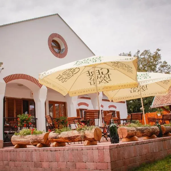 迪奥法住宿加早餐旅馆，位于Borjád的酒店