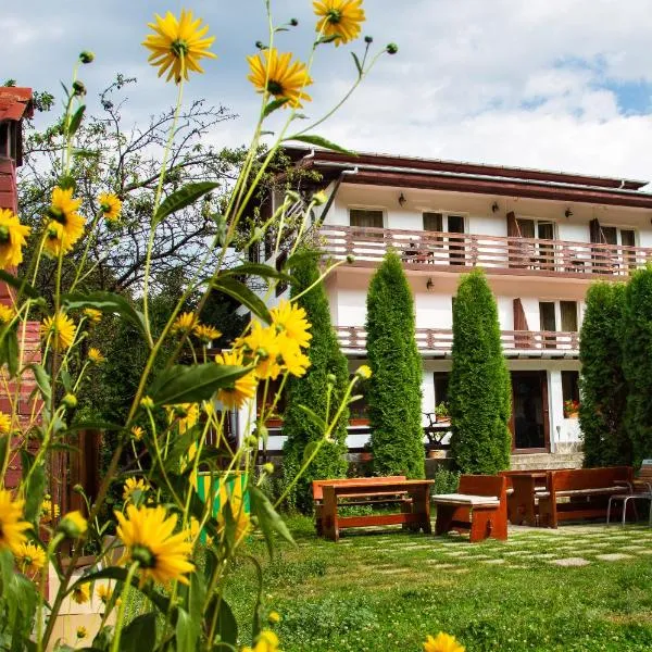 Pensiunea Amada，位于Cîndeşti的酒店