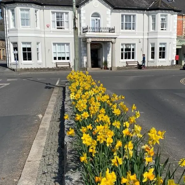 Dolphin Hotel，位于Widecombe in the Moor的酒店