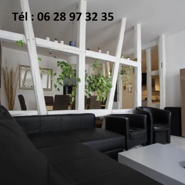 Gite hyper centre 10 pers，位于科尔马的酒店