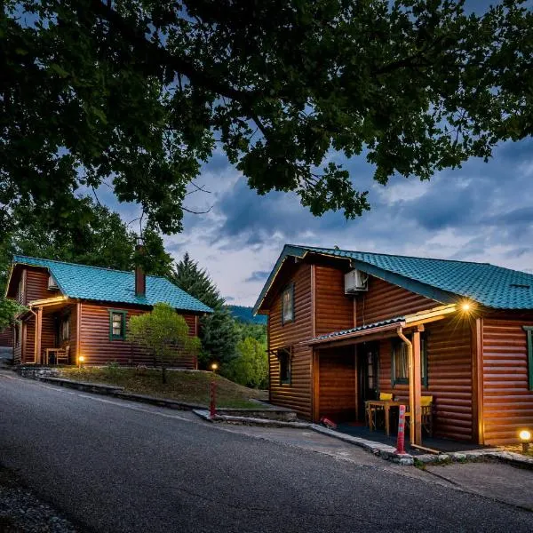 木屋莱克乌瑞希村公寓式酒店，位于卡尔派尼西翁的酒店