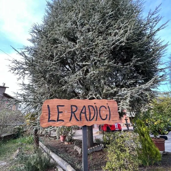 LE RADICI，位于Civitella dʼAgliano的酒店