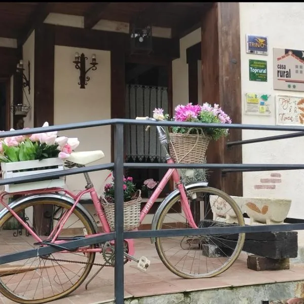 Hotel Rural Cascadas de Tobera，位于Terminón的酒店