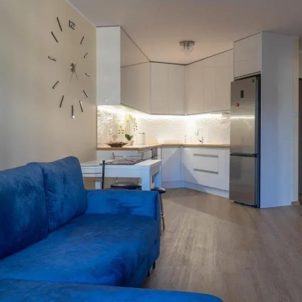 Apartament przy Czarnej，位于比亚韦斯托克的酒店
