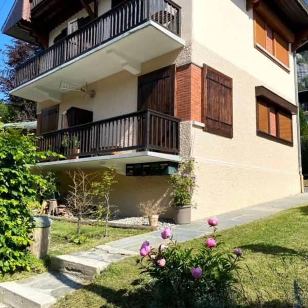 Fizhome Mt Blanc，位于帕西的酒店