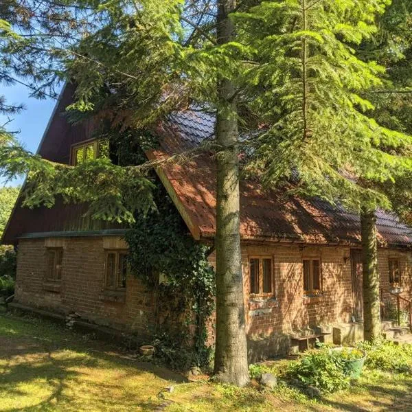 Warmiński dom nad jeziorem，位于Cerkiewnik的酒店