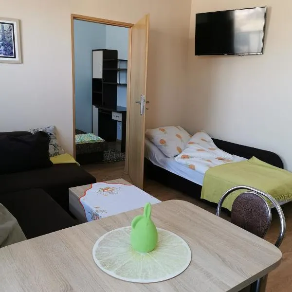 Apartament Borowiacki，位于Żalno的酒店