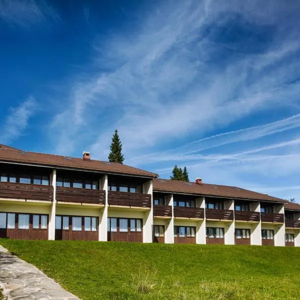 Hotel Brinje，位于兹雷切的酒店