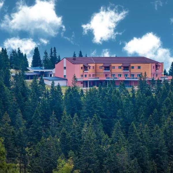 Hotel Natura，位于Padeški Vrh的酒店