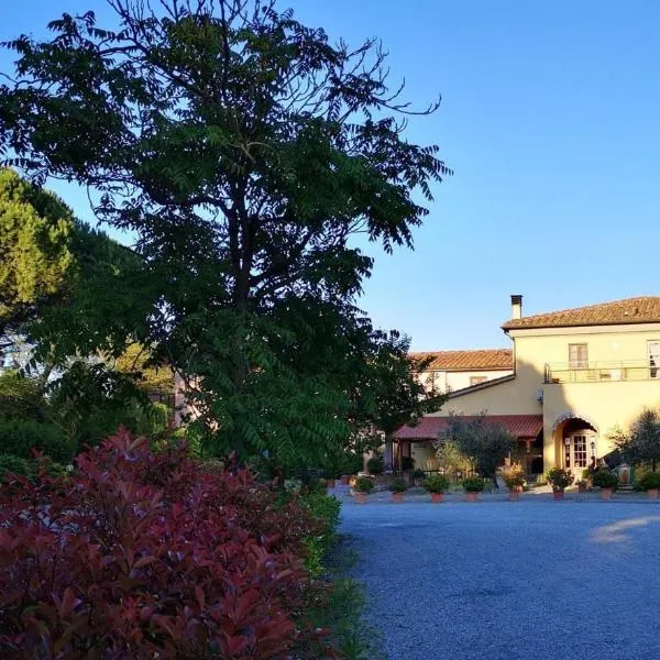 莫利诺戴拉酒店，位于Montelopio的酒店