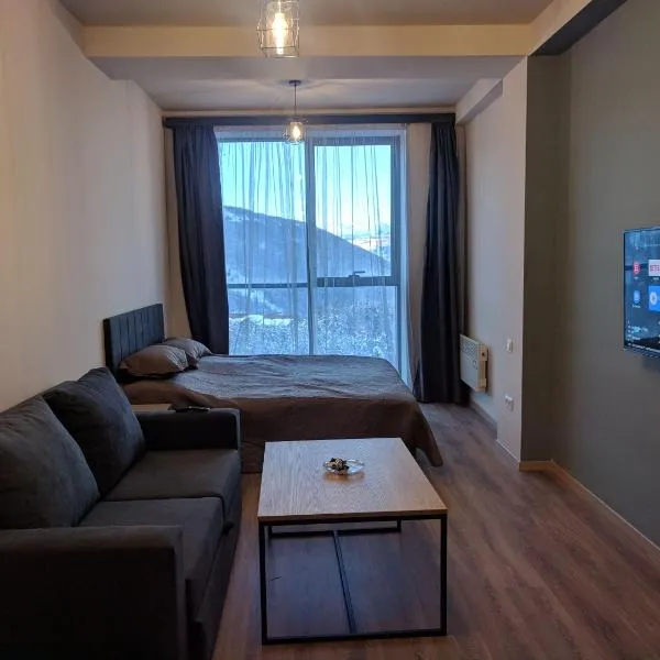 Lovely Aparthotel in Tsaghkadzor，位于塞凡的酒店