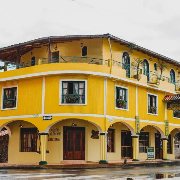 拉斯帕尔马斯旅馆，位于Cumandá的酒店