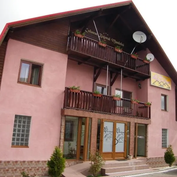 Pensiunea Bujor de Munte，位于Jieţ的酒店