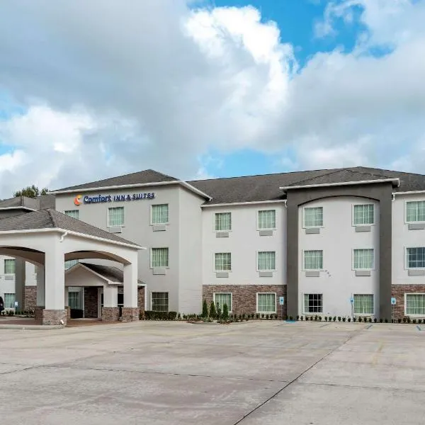 Comfort Inn & Suites Scott-West Lafayette，位于Carencro的酒店