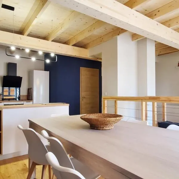 L'HIVERNET, grand Triplex neuf au cœur d'Embrun accès facile，位于埃姆布能的酒店