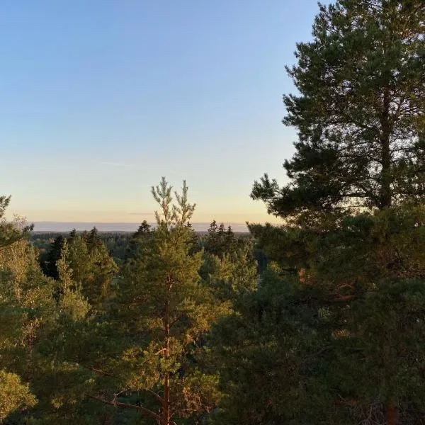 Spacious 68m2 apartment with fabulous forest view，位于Mäntsälä的酒店