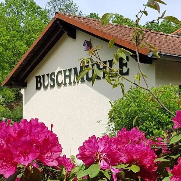 Biohof Buschmühle，位于Wechselburg的酒店