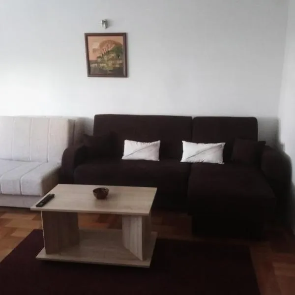 Apartman Pirot，位于皮罗特的酒店