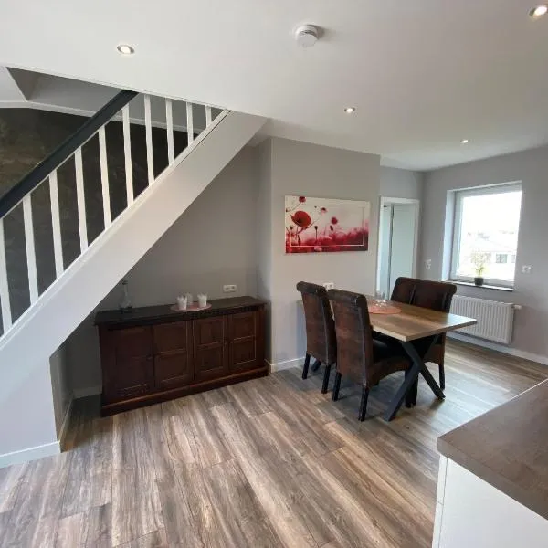 Design Apartment Sasaki，位于策勒的酒店