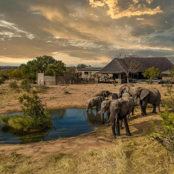 Imagine Africa Luxury Tented Camp，位于巴卢莱自然保护区的酒店