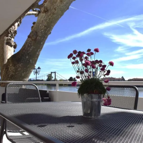 La Bâtie - Terrasse avec Vue imprenable sur le Rhône, 3 chambres, 3 salles de bain，位于坦耶尔米塔格的酒店