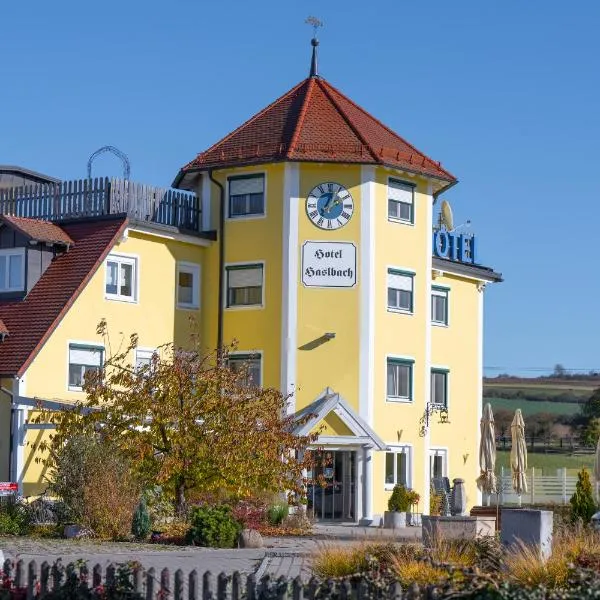 哈斯白兹FGZ酒店，位于雷根斯陶夫的酒店