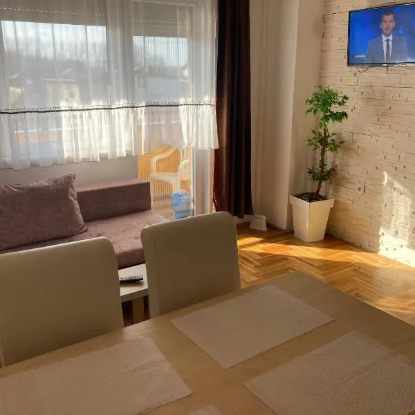 Apartman Jana Apatin，位于阿帕丁的酒店