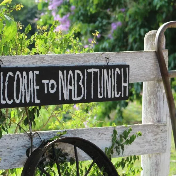 Nabitunich，位于San Jose Succotz的酒店