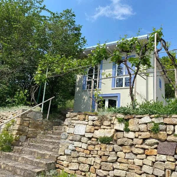 Weinbergshaus mit Blick auf's Wasser，位于Teutschenthal的酒店