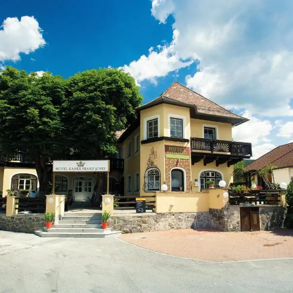 Hotel Kaiser Franz Josef，位于Muggendorf的酒店