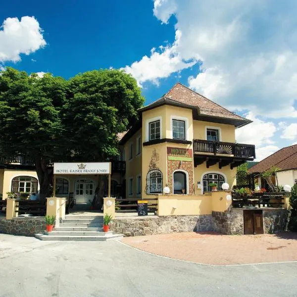 Hotel Kaiser Franz Josef，位于Hohenberg的酒店