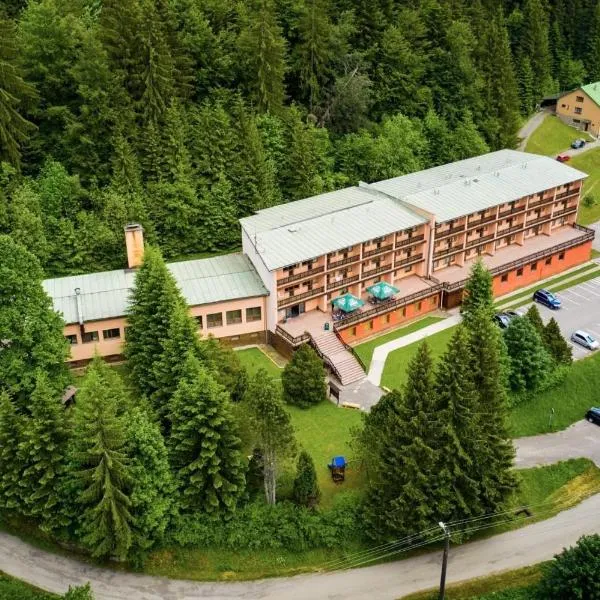 Horský Hotel Podjavorník，位于拉兹波德马伊托的酒店
