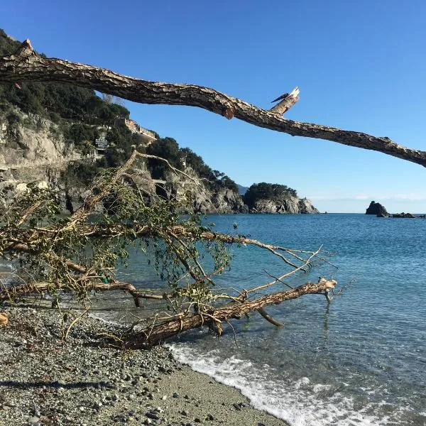 LE CINQUE VELE ***** Cinque Terre，位于蒙特罗索阿尔马雷的酒店