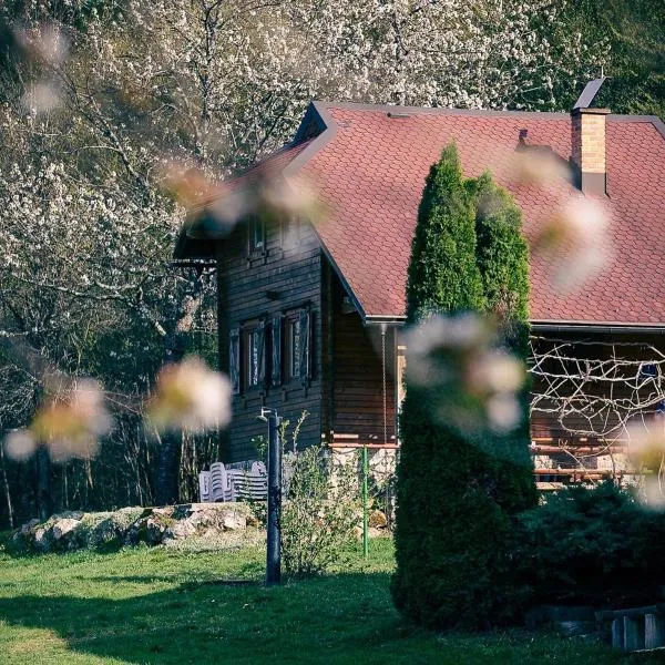 House Forest，位于Gornji Sinac的酒店