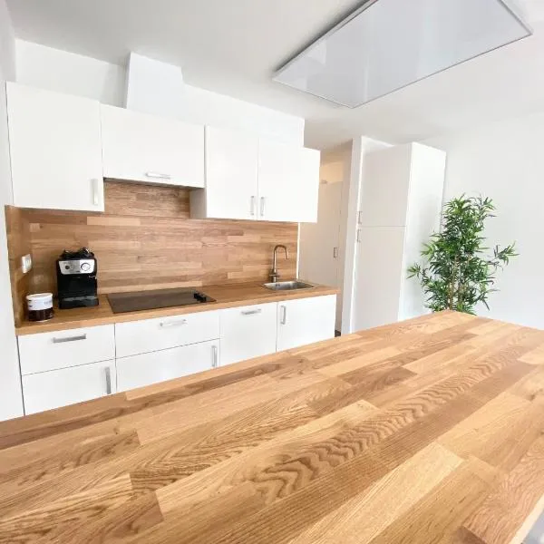 Apartment 3 Sovice，位于博维茨的酒店