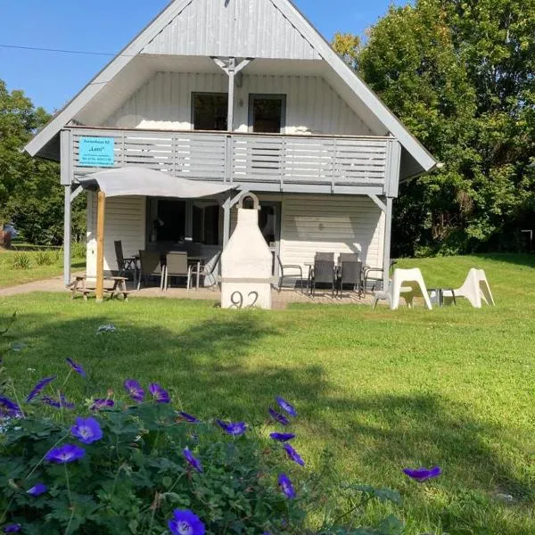 Ferienhaus am Silbersee Leni，位于Frielendorf的酒店