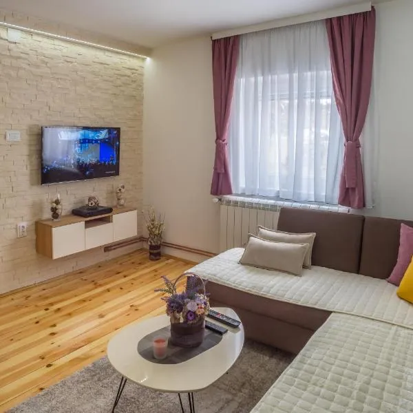 Vojinovic Apartman，位于扎布利亚克的酒店