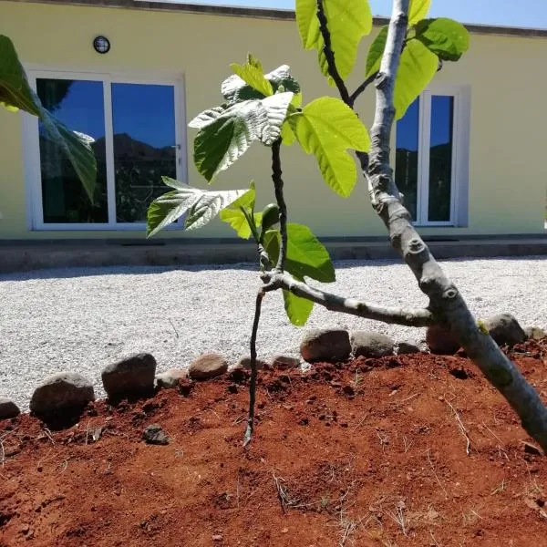 La casa dei fichi，位于阿祖罗港的酒店